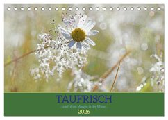 Taufrisch ... am frühen Morgen in der Wiese (Tischkalender 2026 DIN A5 quer), CALVENDO Monatskalender