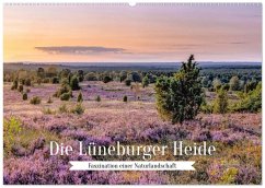 Die Lüneburger Heide - Faszination einer Naturlandschaft (Wandkalender 2026 DIN A2 quer), CALVENDO Monatskalender Die Lüneburger Heide - Faszination einer Naturlandschaft (Wandkalender 2026 DIN A2 quer), CALVENDO Monatskalender