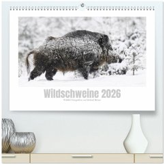 Cover Wildschweine - Wildlife Fotografien (hochwertiger Premium Wandkalender 2026 DIN A2 quer), Kunstdruck in Hochglanz