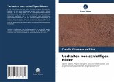 Verhalten von schluffigen Böden Verhalten von schluffigen Böden