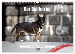 Der Bullterrier der beste Hund der Welt (Wandkalender 2026 DIN A3 quer), CALVENDO Monatskalender