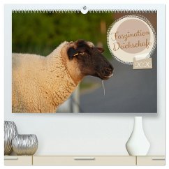 Faszination Deichschafe (hochwertiger Premium Wandkalender 2026 DIN A2 quer), Kunstdruck in Hochglanz Faszination Deichschafe (hochwertiger Premium Wandkalender 2026 DIN A2 quer), Kunstdruck in Hochglanz