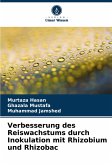 Verbesserung des Reiswachstums durch Inokulation mit Rhizobium und Rhizobac Verbesserung des Reiswachstums durch Inokulation mit Rhizobium und Rhizobac