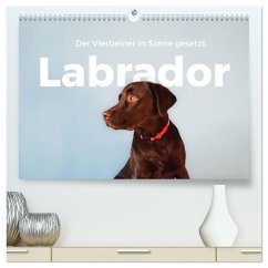 Labrador - Der Vierbeiner in Szene gesetzt. (hochwertiger Premium Wandkalender 2026 DIN A2 quer), Kunstdruck in Hochglanz Labrador - Der Vierbeiner in Szene gesetzt. (hochwertiger Premium Wandkalender 2026 DIN A2 quer), Kunstdruck in Hochglanz