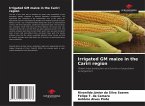 Irrigated GM maize in the Cariri region
