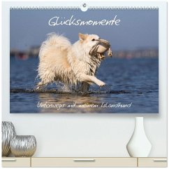 Glücksmomente - Unterwegs mit meinem Islandhund (hochwertiger Premium Wandkalender 2026 DIN A2 quer), Kunstdruck in Hochglanz