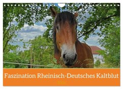 Faszination Rheinisch-Deutsches Kaltblut (Wandkalender 2026 DIN A4 quer), CALVENDO Monatskalender Faszination Rheinisch-Deutsches Kaltblut (Wandkalender 2026 DIN A4 quer), CALVENDO Monatskalender