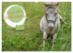 Faszination Shetlandpony (Wandkalender 2026 DIN A2 quer), CALVENDO Monatskalender Faszination Shetlandpony (Wandkalender 2026 DIN A2 quer), CALVENDO Monatskalender