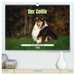 Der Collie der beste Hund der Welt (hochwertiger Premium Wandkalender 2026 DIN A2 quer), Kunstdruck in Hochglanz