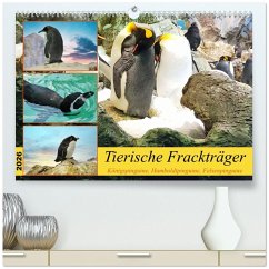 Cover Tierische Frackträger (hochwertiger Premium Wandkalender 2026 DIN A2 quer), Kunstdruck in Hochglanz