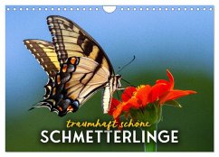 Cover Traumhaft schöne Schmetterlinge (Wandkalender 2026 DIN A4 quer), CALVENDO Monatskalender