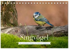 SINGVÖGEL - Die prächtigen Sänger in schönem Ambiente (Tischkalender 2026 DIN A5 quer), CALVENDO Monatskalender