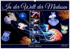 Cover In der Welt der Medusen (Wandkalender 2026 DIN A2 quer), CALVENDO Monatskalender