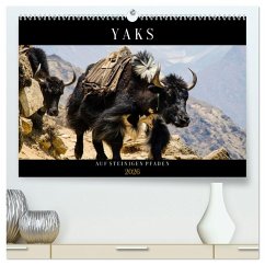 Yaks - auf steinigen Pfaden (hochwertiger Premium Wandkalender 2026 DIN A2 quer), Kunstdruck in Hochglanz