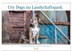 Cover City Dogs im Landschaftspark (Wandkalender 2026 DIN A4 quer), CALVENDO Monatskalender