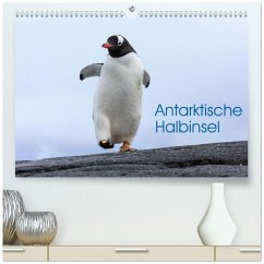 Antarktische Halbinsel (hochwertiger Premium Wandkalender 2026 DIN A2 quer), Kunstdruck in Hochglanz