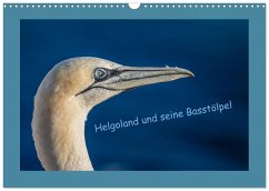 Helgoland und seine Basstölpel (Wandkalender 2026 DIN A3 quer), CALVENDO Monatskalender