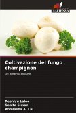 Coltivazione del fungo champignon