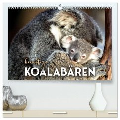 Knuffige Koalabären (hochwertiger Premium Wandkalender 2026 DIN A2 quer), Kunstdruck in Hochglanz