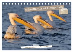 Sehnsuchtsziel Donaudelta (Tischkalender 2026 DIN A5 quer), CALVENDO Monatskalender
