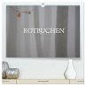 Rotbuchen (hochwertiger Premium... - Bild 1