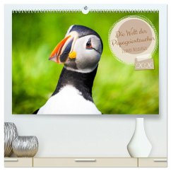 Cover Die Welt der Papageientaucher - Islands Wildvögel (hochwertiger Premium Wandkalender 2026 DIN A2 quer), Kunstdruck in Hochglanz