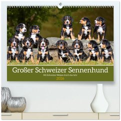 Cover Großer Schweizer Sennenhund - Mit Schweizer Welpen durch das Jahr (hochwertiger Premium Wandkalender 2026 DIN A2 quer), Kunstdruck in Hochglanz