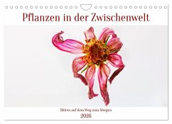 Pflanzen in der Zwischenwelt (Wandkalender 2026 DIN A4 quer), CALVENDO Monatskalender Pflanzen in der Zwischenwelt (Wandkalender 2026 DIN A4 quer), CALVENDO Monatskalender