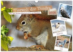 Cover Tierwelt der Tundra (Wandkalender 2026 DIN A3 quer), CALVENDO Monatskalender