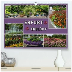 Erfurt erblüht (hochwertiger Premium Wandkalender 2026 DIN A2 quer), Kunstdruck in Hochglanz Erfurt erblüht (hochwertiger Premium Wandkalender 2026 DIN A2 quer), Kunstdruck in Hochglanz