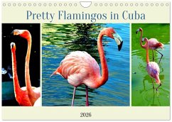 Pretty Flamingos in Cuba (Wandkalender 2026 DIN A4 quer), CALVENDO Monatskalender Cover Pretty Flamingos in Cuba (Wandkalender 2026 DIN A4 quer), CALVENDO Monatskalender