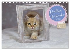 Drollige Tierkinder Mit Sprüchen (Wandkalender 2026 DIN A3 quer), CALVENDO Monatskalender