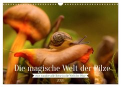 Cover Die magische Welt der Pilze (Wandkalender 2026 DIN A3 quer), CALVENDO Monatskalender