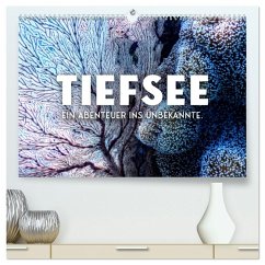 Tiefsee - Ein Abenteuer ins Unbekannte. (hochwertiger Premium Wandkalender 2026 DIN A2 quer), Kunstdruck in Hochglanz