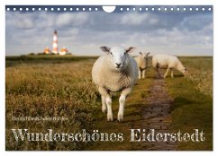 Wunderschönes Eiderstedt (Wandkalender 2026 DIN A4 quer), CALVENDO Monatskalender Cover Wunderschönes Eiderstedt (Wandkalender 2026 DIN A4 quer), CALVENDO Monatskalender