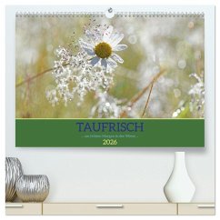 Taufrisch ... am frühen Morgen in der Wiese (hochwertiger Premium Wandkalender 2026 DIN A2 quer), Kunstdruck in Hochglanz Taufrisch ... am frühen Morgen in der Wiese (hochwertiger Premium Wandkalender 2026 DIN A2 quer), Kunstdruck in Hochglanz
