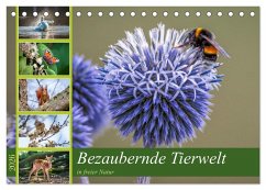 Bezaubernde Tierwelt in freier Natur (Tischkalender 2026 DIN A5 quer), CALVENDO Monatskalender Bezaubernde Tierwelt in freier Natur (Tischkalender 2026 DIN A5 quer), CALVENDO Monatskalender