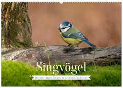 SINGVÖGEL - Die prächtigen Sänger in schönem Ambiente (Wandkalender 2026 DIN A2 quer), CALVENDO Monatskalender