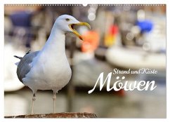 Strand und Küste - Möwen (Wandkalender 2026 DIN A2 quer), CALVENDO Monatskalender Strand und Küste - Möwen (Wandkalender 2026 DIN A2 quer), CALVENDO Monatskalender