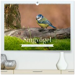 SINGVÖGEL - Die prächtigen Sänger in schönem Ambiente (hochwertiger Premium Wandkalender 2026 DIN A2 quer), Kunstdruck in Hochglanz