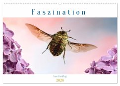 Faszination Insektenflug (Wandkalender 2026 DIN A2 quer), CALVENDO Monatskalender