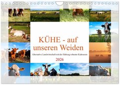 Kühe - auf unseren Weiden (Wandkalender 2026 DIN A4 quer), CALVENDO Monatskalender