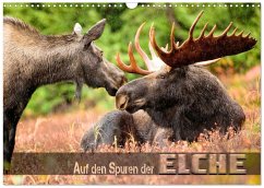Cover Auf den Spuren der Elche (Wandkalender 2026 DIN A3 quer), CALVENDO Monatskalender