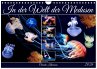 In der Welt der Medusen (Wandkalender... - Bild 1