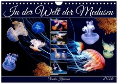 Cover In der Welt der Medusen (Wandkalender 2026 DIN A4 quer), CALVENDO Monatskalender