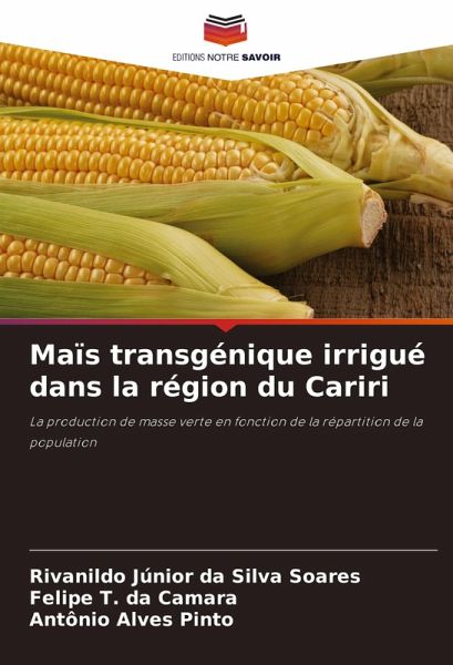 Maïs transgénique irrigué dans la région du Cariri