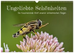 Cover Ungeliebte Schönheiten - die faszinierende Welt unserer heimischen Fliegen (Wandkalender 2026 DIN A3 quer), CALVENDO Monatskalender