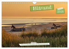 Blåvand - Dänemarks Paradies am Nordseestrand (Wandkalender 2026 DIN A4 quer), CALVENDO Monatskalender Blåvand - Dänemarks Paradies am Nordseestrand (Wandkalender 2026 DIN A4 quer), CALVENDO Monatskalender