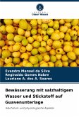 Bewässerung mit salzhaltigem Wasser und Stickstoff auf Guavenunterlage Bewässerung mit salzhaltigem Wasser und Stickstoff auf Guavenunterlage