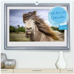 Ich bin ein Isländer (hochwertiger Premium Wandkalender 2026 DIN A2 quer), Kunstdruck in Hochglanz